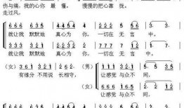 好人好梦爆料视频大全,揭秘热门爆料视频背后的感人故事