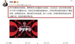 苏b最新爆料,揭秘娱乐圈惊天秘密